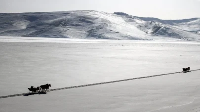 0478 Nerenin Alan Kodu?