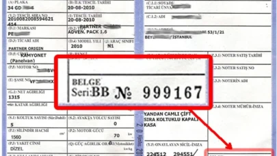 Ruhsat No Nerede Yazar (Doğru Cevap)