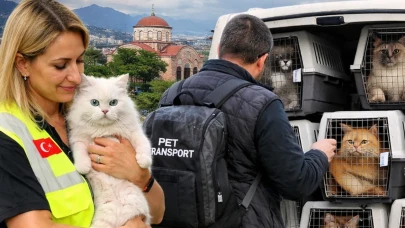 Yurt Dışından Trabzon'a Gelen Sahiplenme Umudu, Terk Edilen Hayvanlarla Son Buldu!