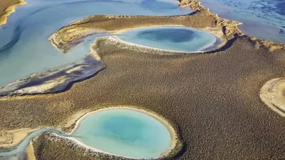Adana'nın Biyoçeşitlilik Zengini: Görsel ve Özellikleriyle Büyüleyici Doğa Hazineleri