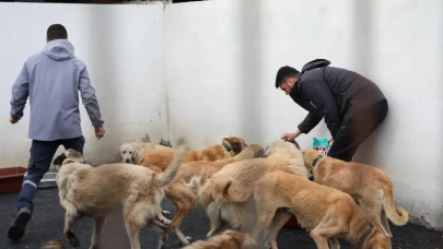 Hayvanseverlerle Buluşan Başkan Fıçı: Can Dostlarımızın Yanındayız!
