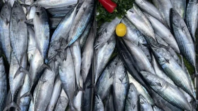 Ramazan’a Özel Balık Satışında Fırsatlar: Kilo 75 TL'den!