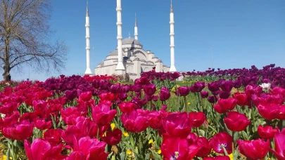 Trabzon'da 2025'te 1.3 milyon yeşil dokunun toprakla buluşması sağlandı