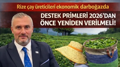 Rize çay üreticileri ekonomik darboğazda, destek primleri 2026'dan önce yeniden verilmeli!