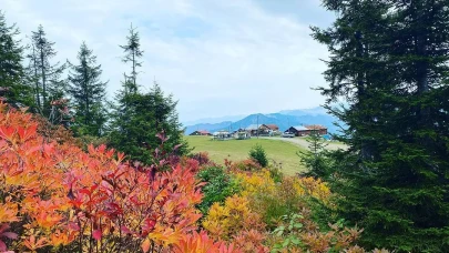 Rize’de Sonbaharda Gezilecek Yerler: Sarı ve Yeşilin Buluştuğu Rotalar