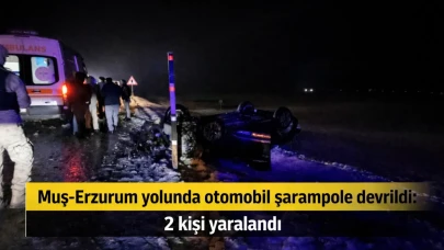 Muş-Erzurum yolunda otomobil şarampole devrildi: 2 kişi yaralandı