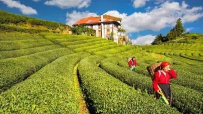 Rize’de Çocuklarla Gezilecek Yerler: Rize’de Ailece Keşfedilecek En Güzel Noktalar
