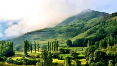 Rize Hakkında Bilinmesi Gerekenler