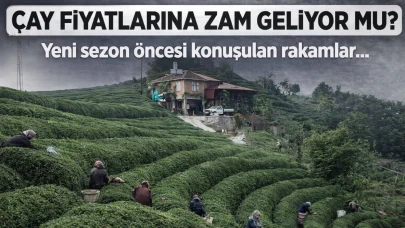 Çay fiyatlarına zam geliyor mu? Yeni sezon öncesi konuşulan rakamlar