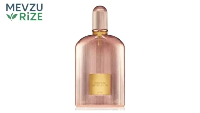 En İyi Kadın Parfümleri Tavsiyesi ve Markaları 2026