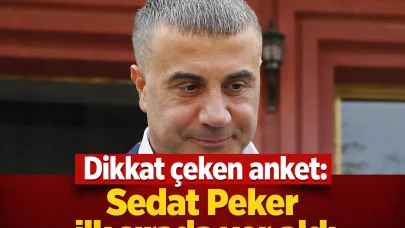 Dikkat çeken anket: Sedat Peker ilk sırada yer aldı
