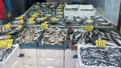 Pazar’da Hamsi Geri Döndü: Tezgâhlarda İki Ay Sonra Yerli Hamsi Sevinci