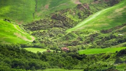 Doğanın Kalbinde Bir Soluk: Oksijen Deposu Karadeniz Yaylaları
