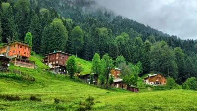 Rize Neden Bu Kadar Yeşil? Bilimsel Olarak Açıklıyoruz