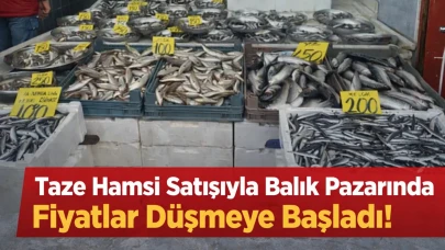 Taze Hamsi Satışıyla Balık Pazarında Fiyatlar Düşmeye Başladı!