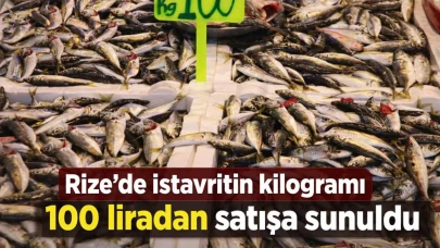Rize'de istavritin kilogramı 100 liradan satışa sunuldu