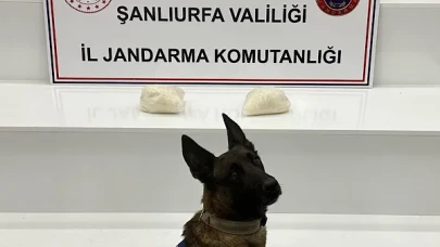 Şanlıurfa’da uyuşturucu operasyonu