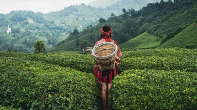 Rize’de Yaşamak Nasıl? 2026 Güncel Rehber