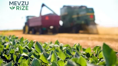 Şubat'ta tarımsal destek ödemeleri her cuma hesaplarda, %90 hibeli fidan desteği geliyor!