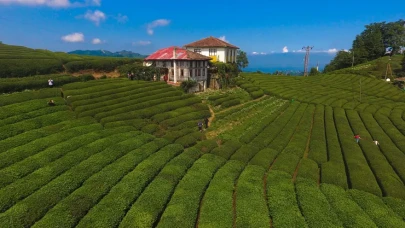 Rize’de Çay Bahçeleri Listesi (2026) – Manzaralı ve En Çok Tercih Edilen Mekânlar