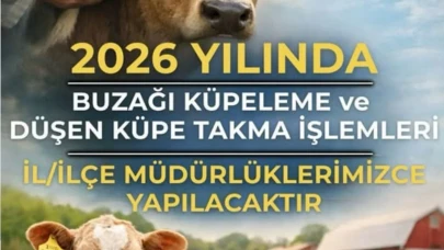 Aydıntepe İlçe Tarım ve Orman Müdürlüğü’nden Buzağı Küpeleme Duyurusu