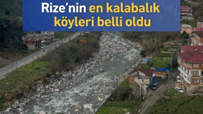Rize'de hangi köyün kaç nüfusu var?
