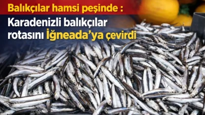 Balıkçılar hamsi peşinde : Karadenizli balıkçılar rotasını İğneada'ya çevirdi