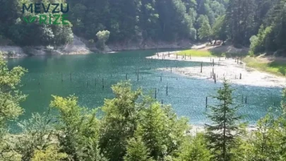 İstanbul'a Yakın, Doğanın Kalbinde: Hafta Sonu Kaçış Noktaları!