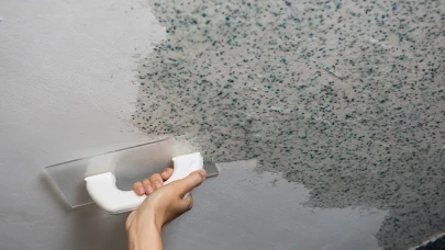 Rize’de Evler Neden Küf Olur? Bölgenin Nem Gerçeği