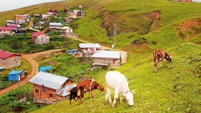 Rize’de Yaşamak mı Trabzon’da Yaşamak mı? Karadeniz’de Şehir Karşılaştırması