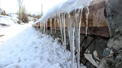 Japonya'daki Sert Kış Koşulları Can Kayıplarını 35'e Yükseltti