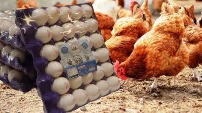 Ramazan'da 30'lu Yumurta Fiyatının 100 TL'nin Altına Düşmesi Bekleniyor