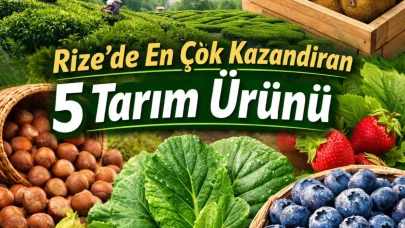 Rize’de En Çok Kazandıran 5 Tarım Ürünü