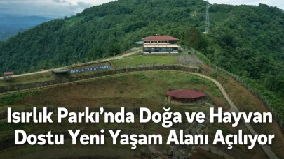 Isırlık Parkı’nda Doğa ve Hayvan Dostu Yeni Yaşam Alanı Açılıyor