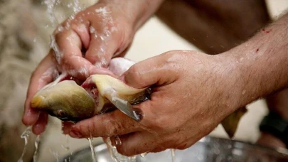 Balık Temizleme Rehberi: Adım Adım Uygulamalar ile Pratik Yöntemler!