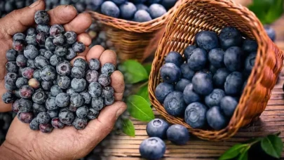 Rize’de Süper Gıdaya Yoğun İlgi