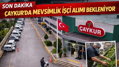ÇAYKUR’DA MEVSİMLİK İŞÇİ ALIMI BEKLENİYOR