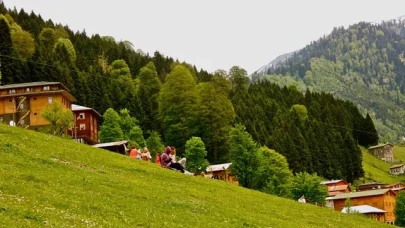 Rize’de Laz, Hemşinli ve Gürcü Nüfus: Kim Nerede Yaşıyor?