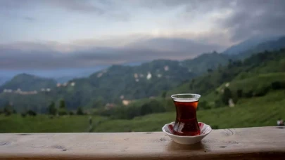 Rize’de Çay Neden Dünyanın En İyisi Sayılıyor?