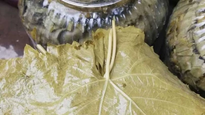 Salamura yaprağı nasıl yapılır? İşte nefis lezzetin tarifi