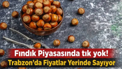 Fındık Piyasasında tık yok! | Trabzon'da Fiyatlar Yerinde Sayıyor