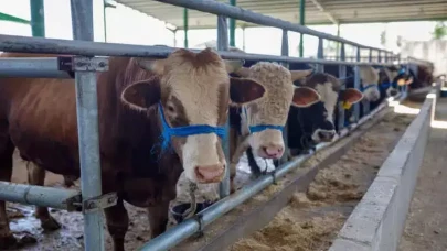 2026 Kurban Bayramı'nın Tarihi ve Tatil Süresi Belli Oldu!