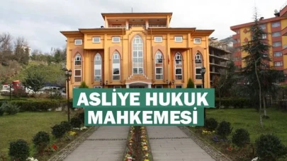 ASLİYE HUKUK MAHKEMESİ