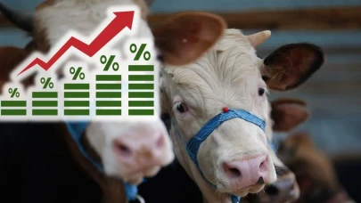 Hayvancılıkta devrim: Ücretsiz desteklerle üretim patlayacak!