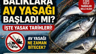 BALIKLARA AV YASAĞI BAŞLADI MI? Av Yasağı Ne Zaman Bitecek?