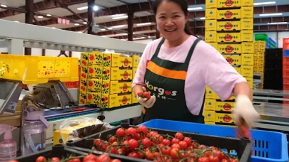 Çin'de özel gıda üretim bölgelerinin sayısı 450'yi aştı