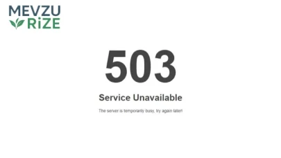 Nok 503 Hatası Nedir? Nasıl Çözülür? 2026