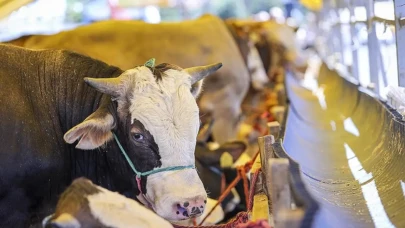 Kurban Bayramı ne zaman? Tatil süresi bu yıl kaç gün olacak?