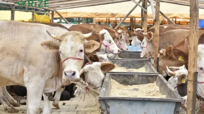 Trabzon’da kurban satış ve kesim alanları nerede? Detaylar belli oldu