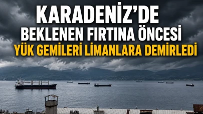 Karadeniz'de beklenen fırtına öncesi yük gemileri limanlara demirledi